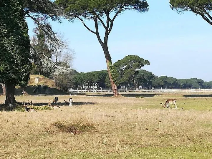 Hotel I Levrieri Torre del Lago Puccini 0*,